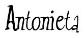 The image is of the word Antonieta stylized in a cursive script.