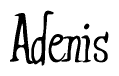 The image contains the word 'Adenis' written in a cursive, stylized font.