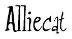 The image is of the word Alliecat stylized in a cursive script.