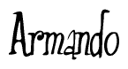 The image is of the word Armando stylized in a cursive script.