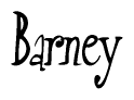The image contains the word 'Barney' written in a cursive, stylized font.