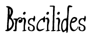 The image is of the word Briscilides stylized in a cursive script.