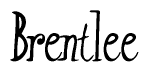 The image is of the word Brentlee stylized in a cursive script.