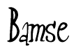 The image contains the word 'Bamse' written in a cursive, stylized font.