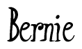 The image is of the word Bernie stylized in a cursive script.