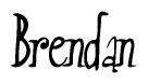 The image contains the word 'Brendan' written in a cursive, stylized font.