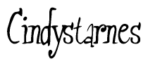 The image is a stylized text or script that reads 'Cindystarnes' in a cursive or calligraphic font.