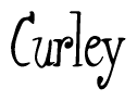The image contains the word 'Curley' written in a cursive, stylized font.