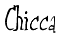 The image is a stylized text or script that reads 'Chicca' in a cursive or calligraphic font.