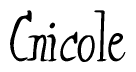 The image contains the word 'Cnicole' written in a cursive, stylized font.