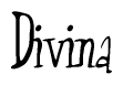 The image is a stylized text or script that reads 'Divina' in a cursive or calligraphic font.
