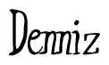 The image is of the word Denniz stylized in a cursive script.