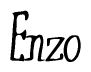 The image is of the word Enzo stylized in a cursive script.