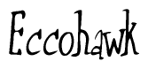 The image is a stylized text or script that reads 'Eccohawk' in a cursive or calligraphic font.