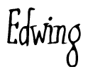  Edwing 