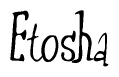 The image contains the word 'Etosha' written in a cursive, stylized font.