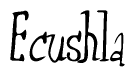 The image is of the word Ecushla stylized in a cursive script.