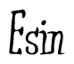 The image is a stylized text or script that reads 'Esin' in a cursive or calligraphic font.