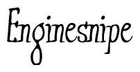 The image contains the word 'Enginesnipe' written in a cursive, stylized font.