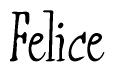 The image is of the word Felice stylized in a cursive script.