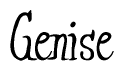 The image is a stylized text or script that reads 'Genise' in a cursive or calligraphic font.