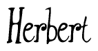 The image is of the word Herbert stylized in a cursive script.