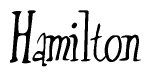 The image is a stylized text or script that reads 'Hamilton' in a cursive or calligraphic font.