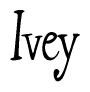 The image is of the word Ivey stylized in a cursive script.
