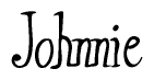The image contains the word 'Johnnie' written in a cursive, stylized font.