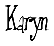 The image is a stylized text or script that reads 'Karyn' in a cursive or calligraphic font.