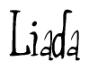 The image contains the word 'Liada' written in a cursive, stylized font.