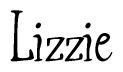 The image is a stylized text or script that reads 'Lizzie' in a cursive or calligraphic font.