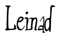 The image contains the word 'Leinad' written in a cursive, stylized font.