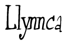 The image is of the word Llynnca stylized in a cursive script.