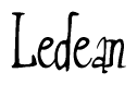 The image is of the word Ledean stylized in a cursive script.