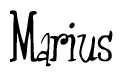 The image is of the word Marius stylized in a cursive script.