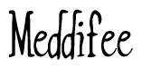 The image is of the word Meddifee stylized in a cursive script.