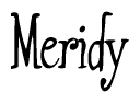 The image is of the word Meridy stylized in a cursive script.