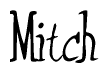 The image is of the word Mitch stylized in a cursive script.