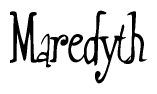 The image is of the word Maredyth stylized in a cursive script.