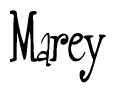 The image is of the word Marey stylized in a cursive script.