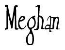 The image is a stylized text or script that reads 'Meghan' in a cursive or calligraphic font.