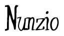 The image contains the word 'Nunzio' written in a cursive, stylized font.