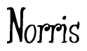 The image is of the word Norris stylized in a cursive script.