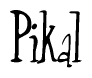The image contains the word 'Pikal' written in a cursive, stylized font.