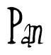 The image is a stylized text or script that reads 'Pan' in a cursive or calligraphic font.