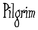The image contains the word 'Pilgrim' written in a cursive, stylized font.