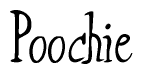 The image is a stylized text or script that reads 'Poochie' in a cursive or calligraphic font.