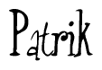 The image is a stylized text or script that reads 'Patrik' in a cursive or calligraphic font.