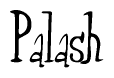 The image is a stylized text or script that reads 'Palash' in a cursive or calligraphic font.